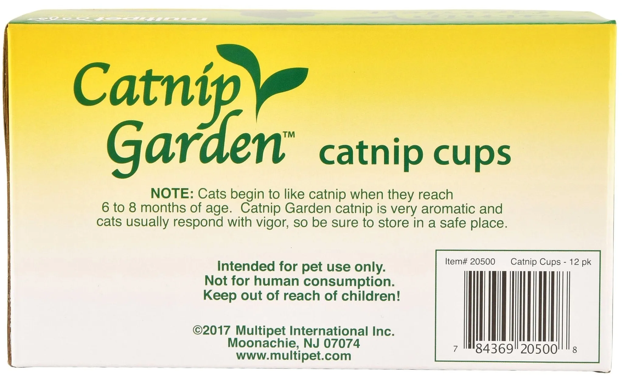 Catnip Garden Catnip