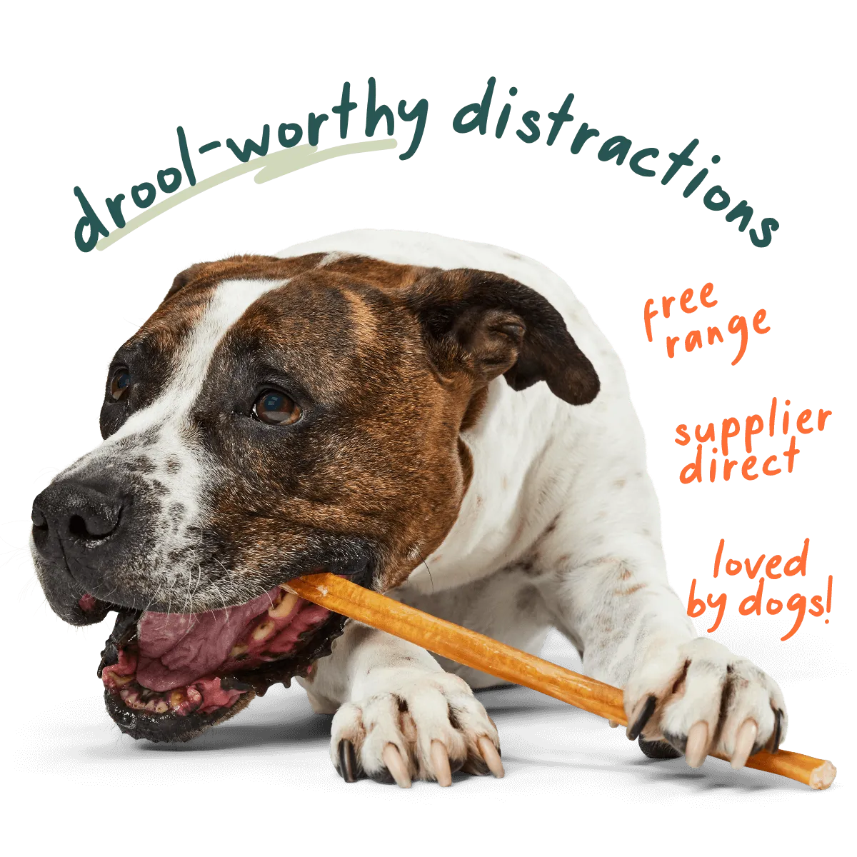 Free Bully Sticks