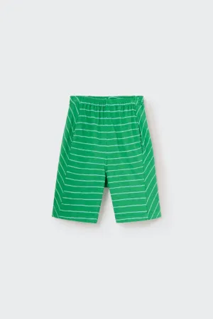Saint Striped Shorts in Grass Green