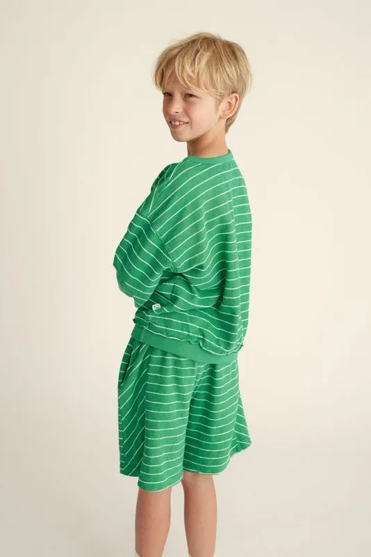 Saint Striped Shorts in Grass Green