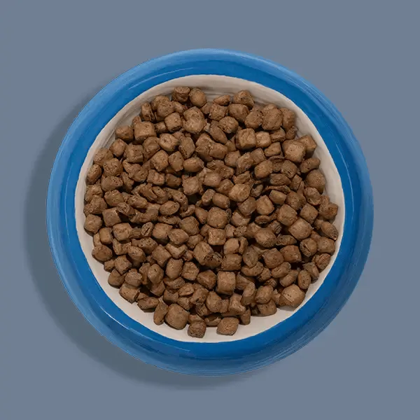 Ziwi Peak Steam & Dried Dog Food (Cage-Free Chicken with Orchard Fruits)